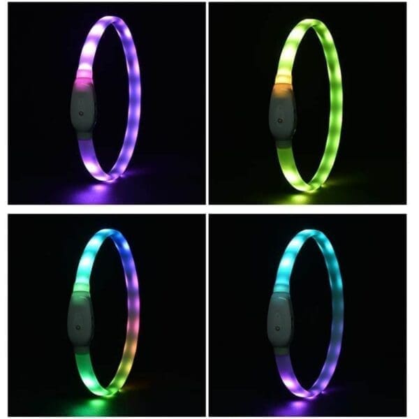 bright led dog collars